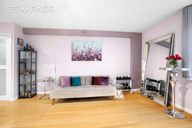 living room featuring hardwood / wood-style floors