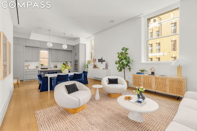 living room featuring light hardwood / wood-style floors