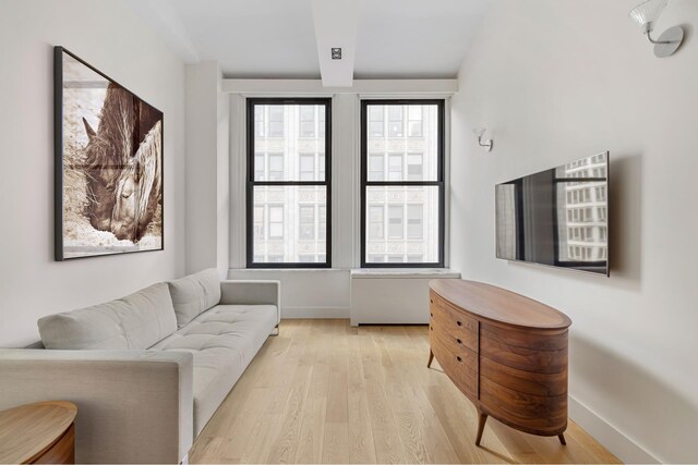 living room featuring light wood-type flooring and a wealth of natural light