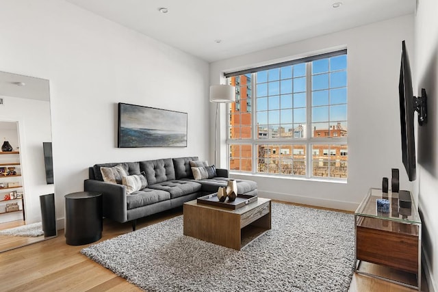 living area featuring baseboards and wood finished floors