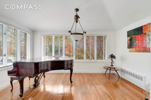 139 82nd St, New York City, NY 11209 - sitting room featuring radiator, plenty of natural light, and light wood-style floors