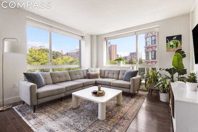 interior space featuring dark hardwood / wood-style flooring and a wealth of natural light