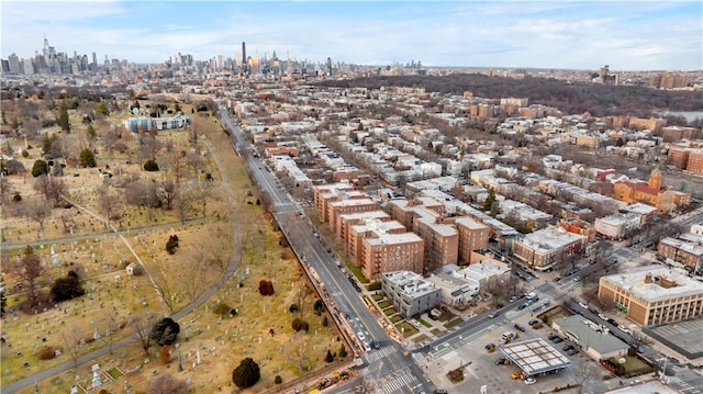 221 Mcdonald Ave Unit P3, New York City, NY 11218 - bird's eye view of city skyline