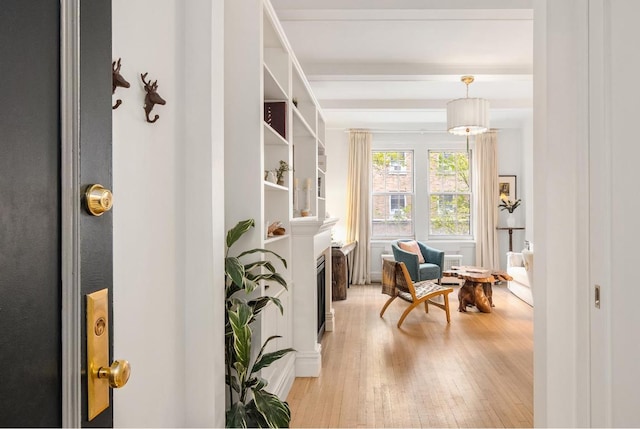 sitting room with light hardwood / wood-style flooring