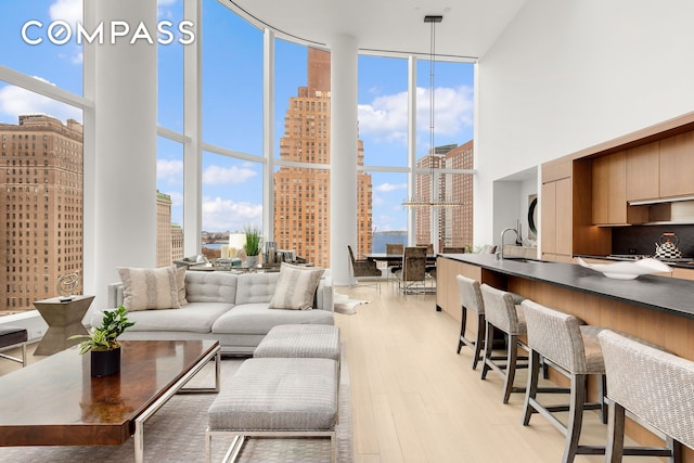 50 W St Unit 14B, New York City, NY 10006 - living area featuring a high ceiling, floor to ceiling windows, light wood-style floors, and a view of city