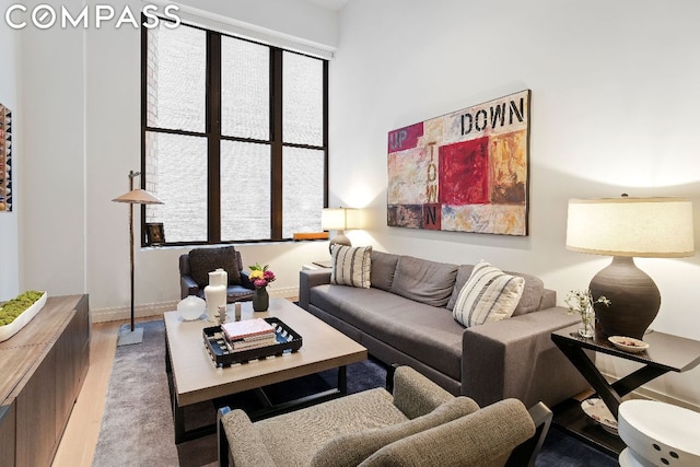 living room featuring wood-type flooring