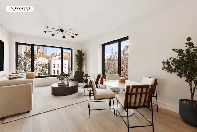 dining room with light hardwood / wood-style floors and a healthy amount of sunlight