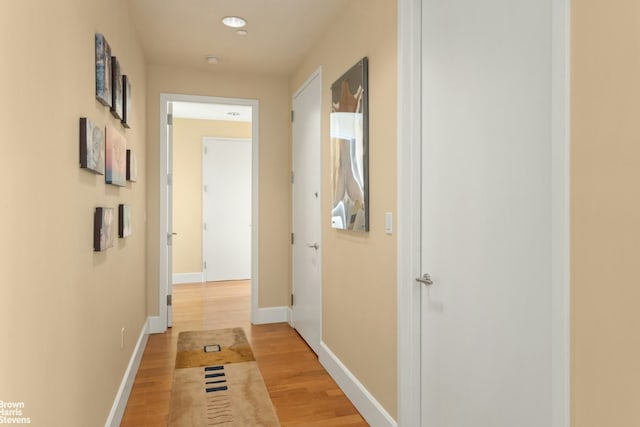 hall featuring wood-type flooring