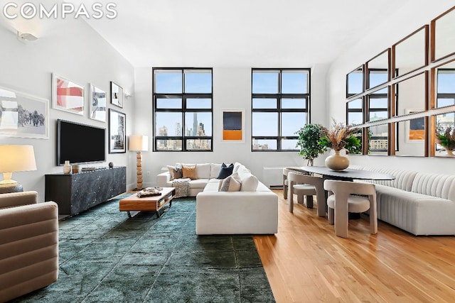 living room with hardwood / wood-style floors