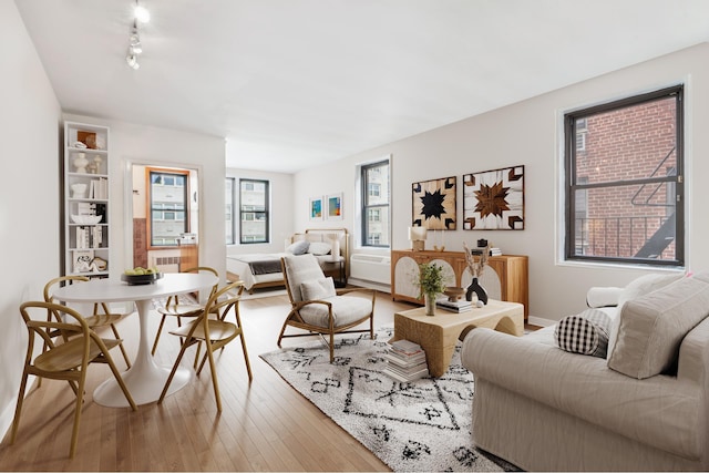 living room with hardwood / wood-style floors and rail lighting