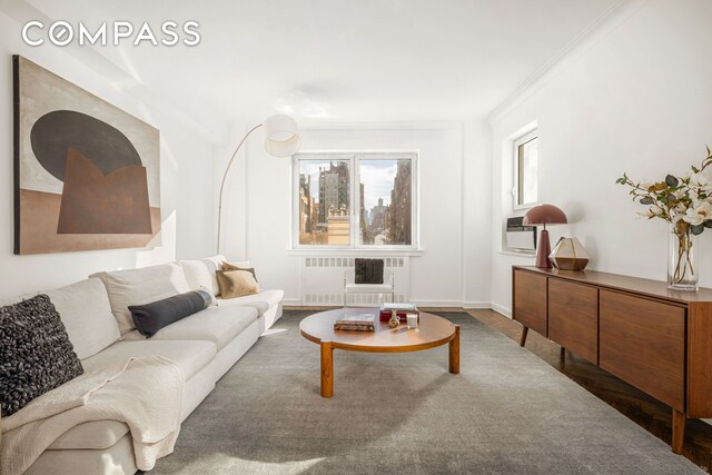 living room with radiator and crown molding