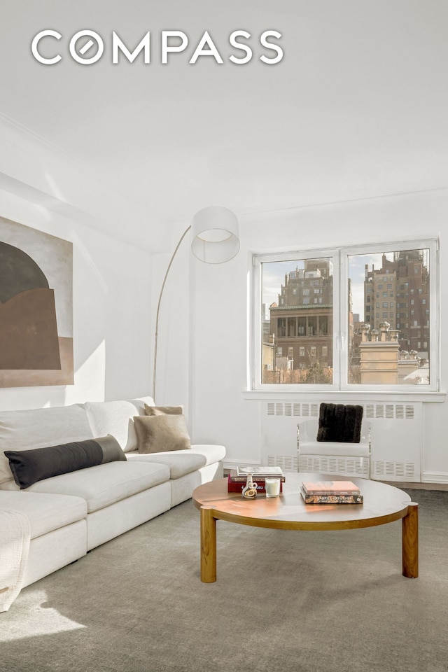 carpeted living area with radiator heating unit and a view of city
