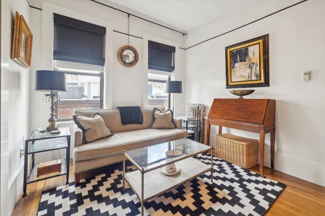 living room featuring hardwood / wood-style flooring