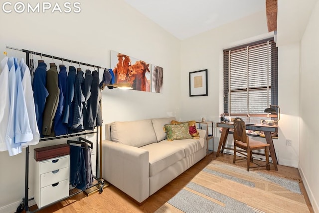 living room featuring light hardwood / wood-style floors