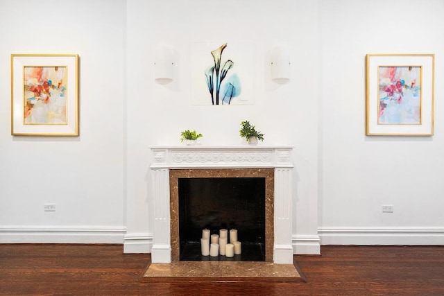 interior details with a premium fireplace and wood-type flooring