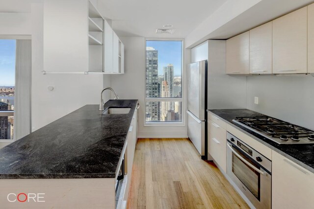 kitchen featuring stainless steel appliances, sink, a wealth of natural light, and light wood-type flooring