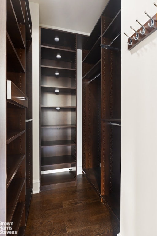 spacious closet featuring dark wood finished floors