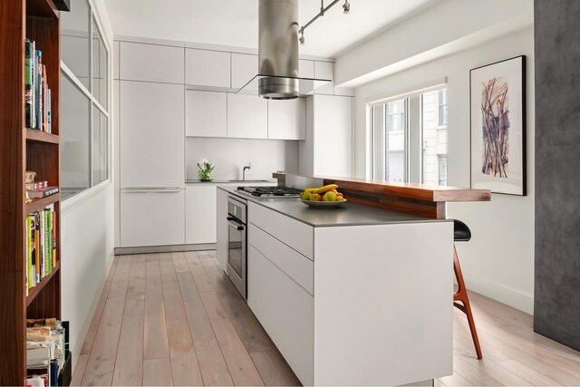133 Water St Unit 2F, New York City, NY 11201 - kitchen featuring modern cabinets, stainless steel appliances, light wood finished floors, island range hood, and a kitchen island
