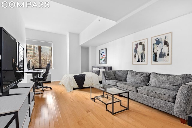 living room with wood-type flooring