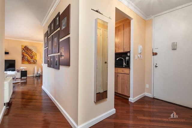 hall featuring dark hardwood / wood-style floors and ornamental molding