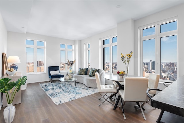 dining room with wood finished floors, baseboards, and a healthy amount of sunlight