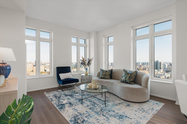 living area featuring baseboards, a city view, and dark wood-style floors