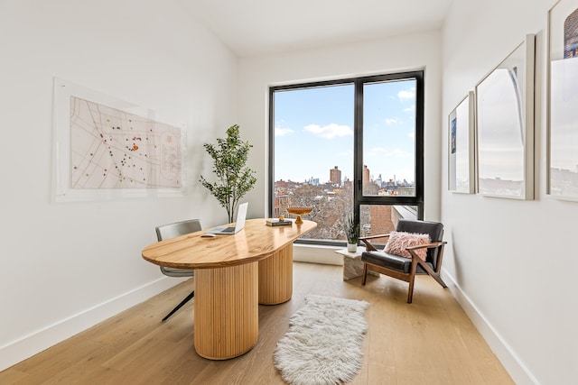 office space featuring baseboards, a city view, and light wood finished floors