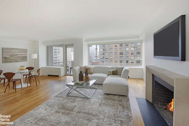 200 E 66th St Unit B1804, New York City, NY 10065 - living area with a fireplace with flush hearth and light wood-type flooring