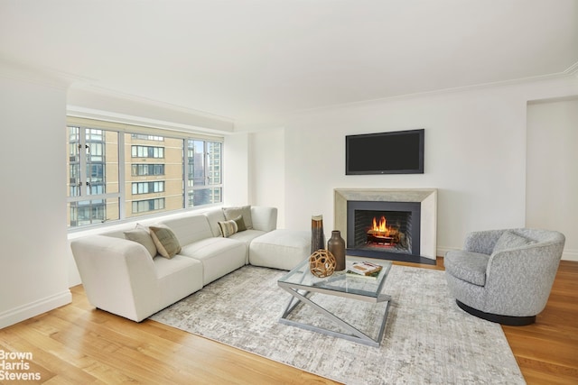 200 E 66th St Unit B1804, New York City, NY 10065 - living area with wood finished floors, ornamental molding, a warm lit fireplace, and baseboards