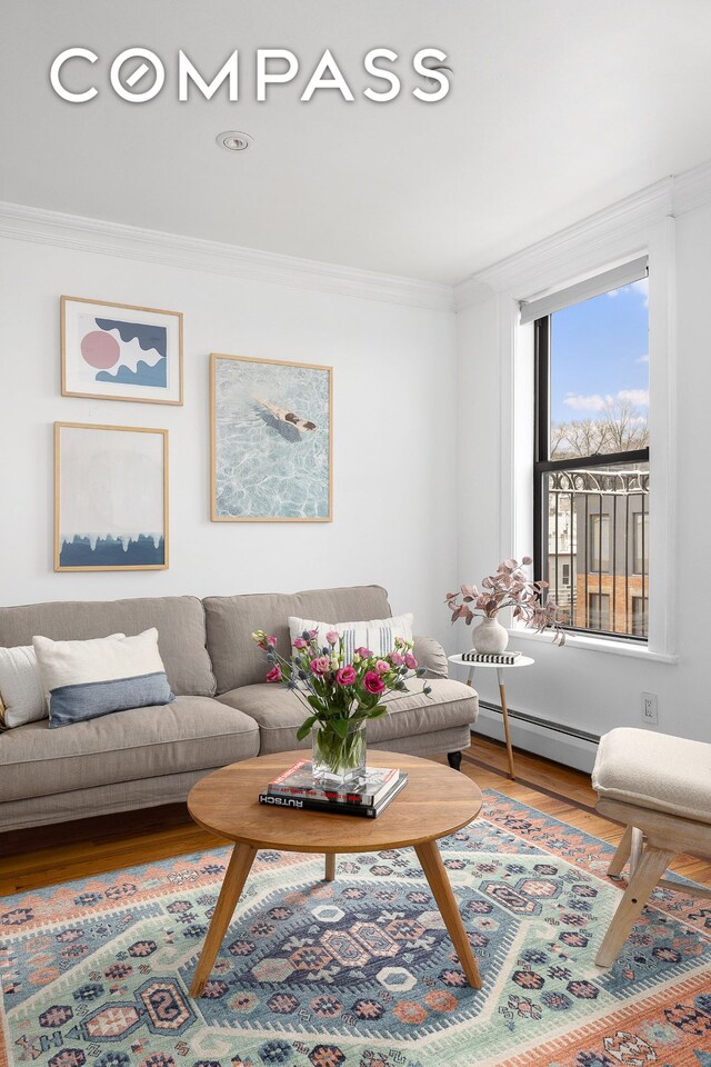 living room with a baseboard radiator, ornamental molding, and wood-type flooring