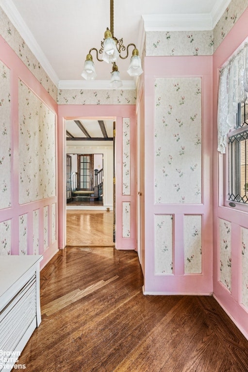 hallway with a notable chandelier, crown molding, and dark wood-type flooring