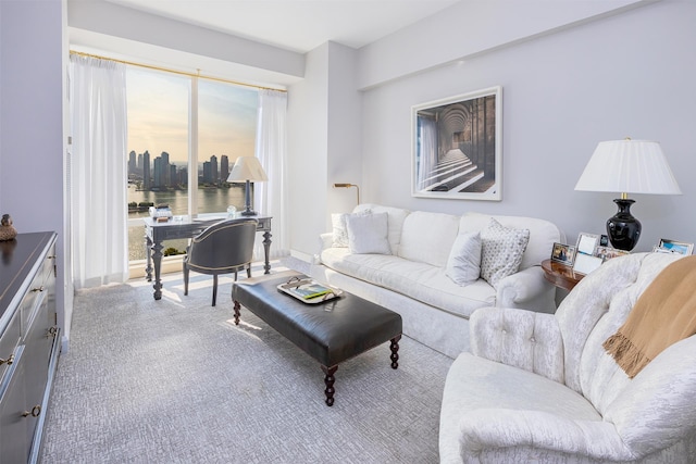 living area featuring carpet floors