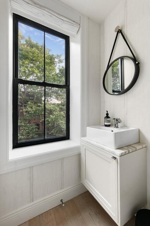 bathroom featuring hardwood / wood-style flooring and vanity