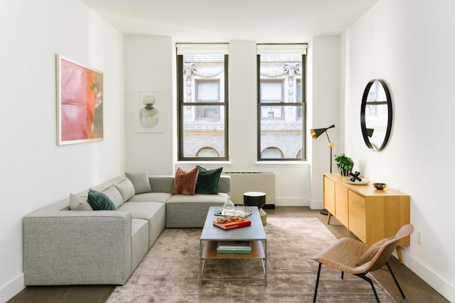 living room featuring radiator