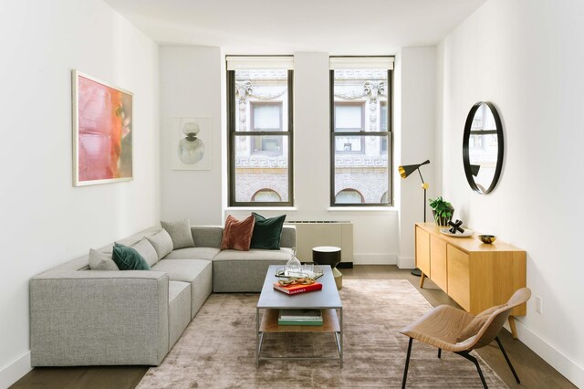 living room with radiator heating unit and baseboards