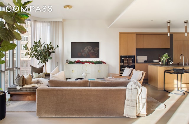 living room featuring wood finished floors