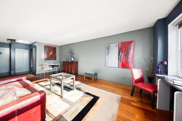 living room featuring wood-type flooring