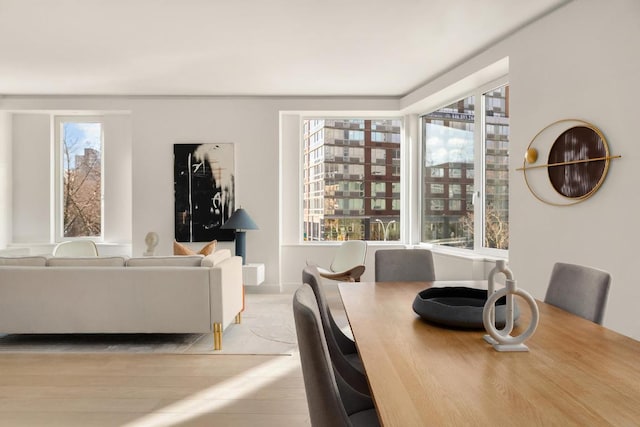 dining room featuring light hardwood / wood-style floors and a healthy amount of sunlight