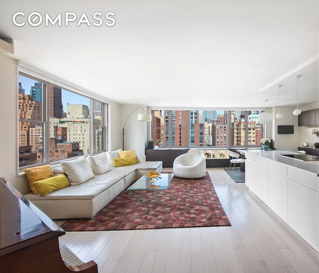 living room featuring wood finished floors, a wealth of natural light, and a city view