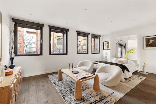 sitting room featuring dark wood-type flooring