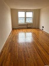 empty room with wood-type flooring