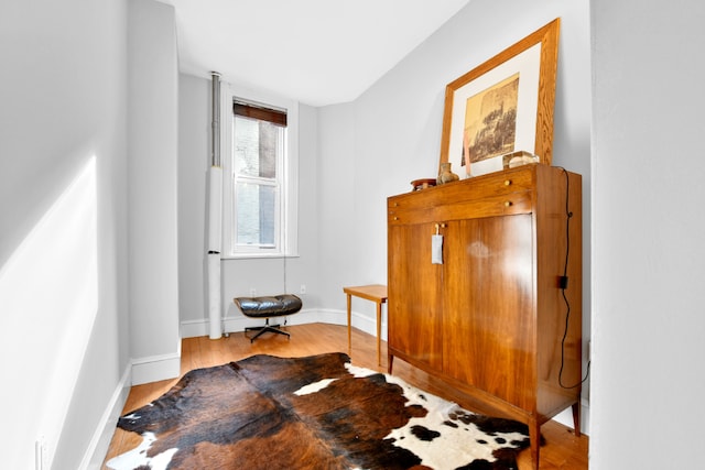 interior space with light wood-type flooring