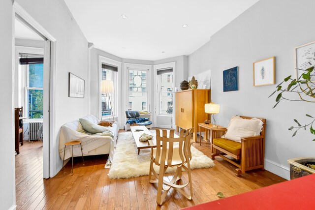 living room with light hardwood / wood-style flooring