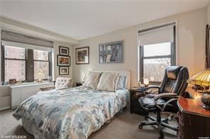 bedroom with multiple windows and light carpet