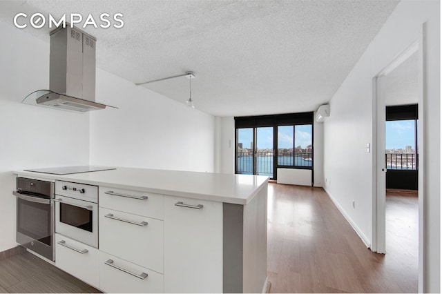 kitchen with plenty of natural light, oven, stainless steel oven, and range hood