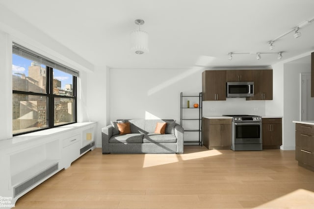 living room featuring light hardwood / wood-style floors