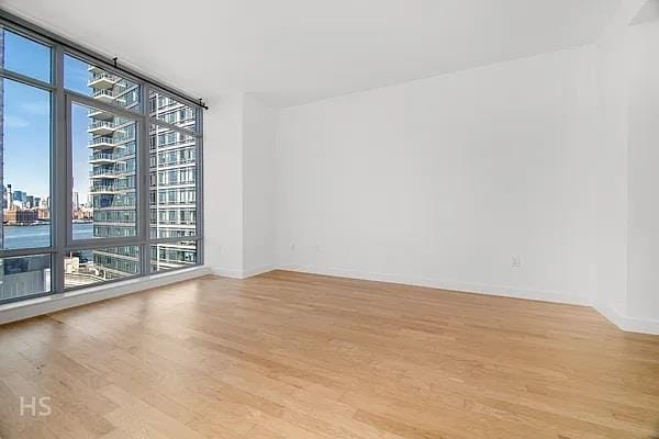 spare room with a healthy amount of sunlight, light hardwood / wood-style flooring, and expansive windows