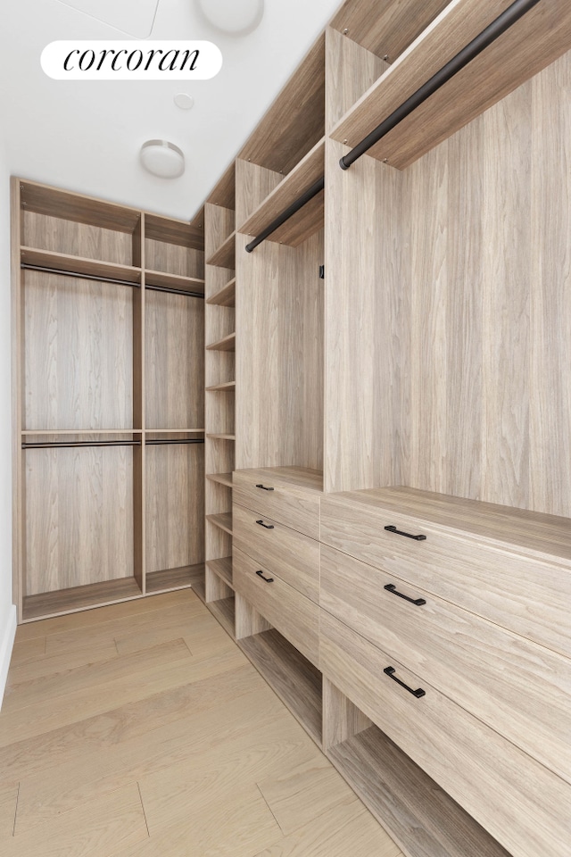 15 Hudson Yards Unit 67F, New York City, NY 10001 - spacious closet with light wood-style floors