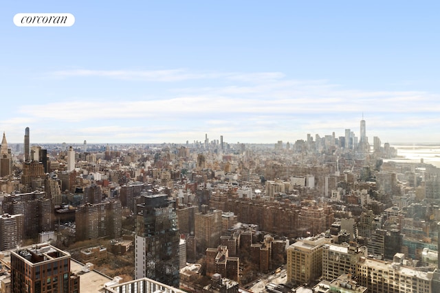 15 Hudson Yards Unit 67F, New York City, NY 10001 - skyline view