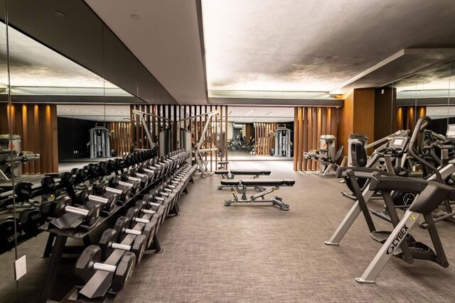 exercise room with a raised ceiling and carpet flooring